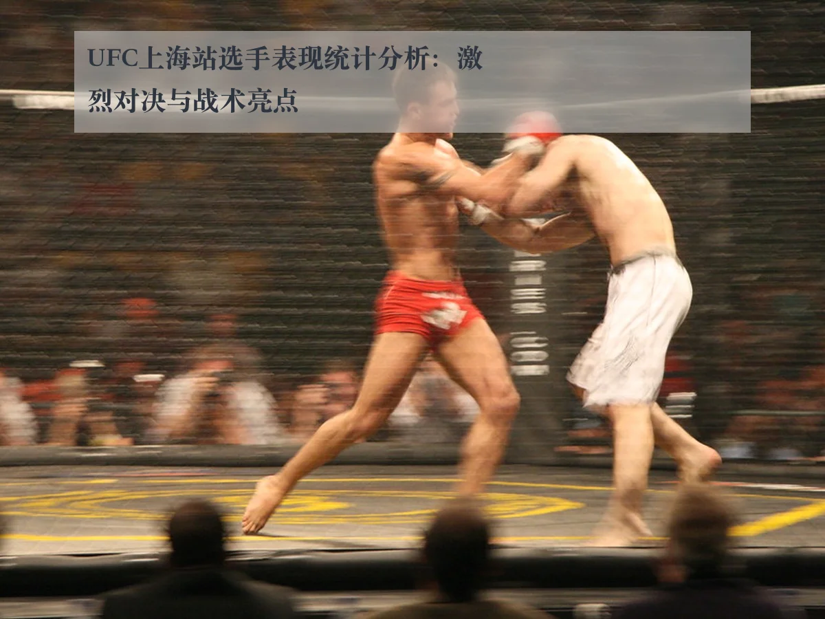 UFC上海站选手表现统计分析：激烈对决与战术亮点